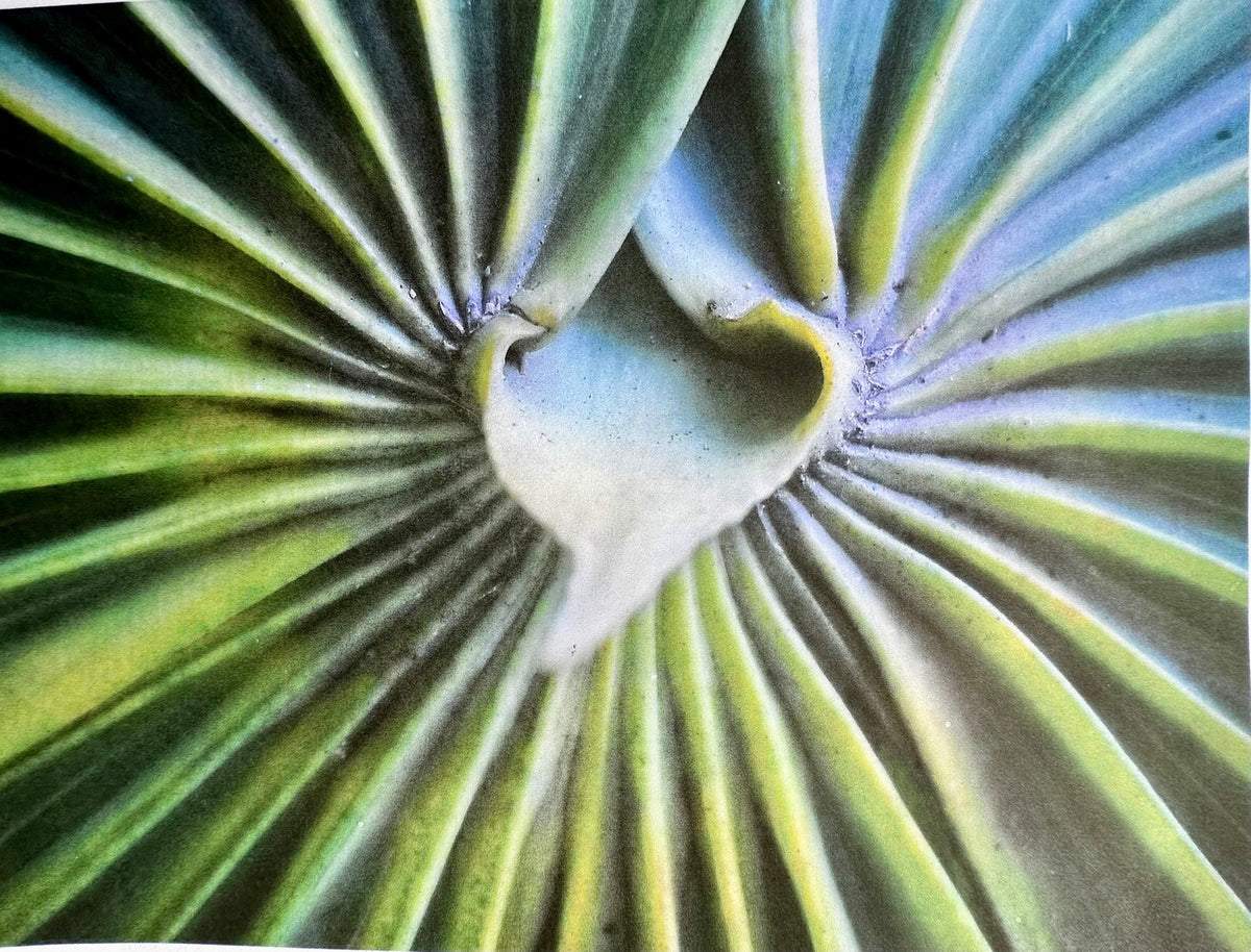 Fibonacci Sequence