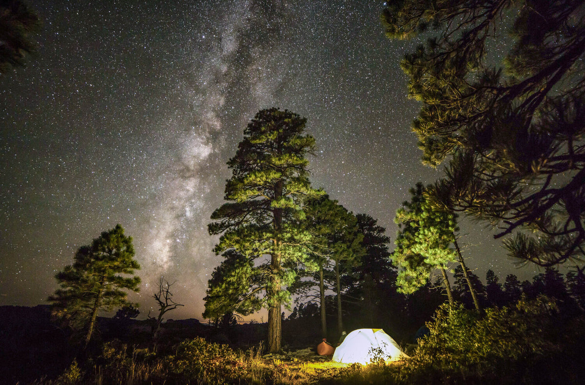 Milky Way in Zion