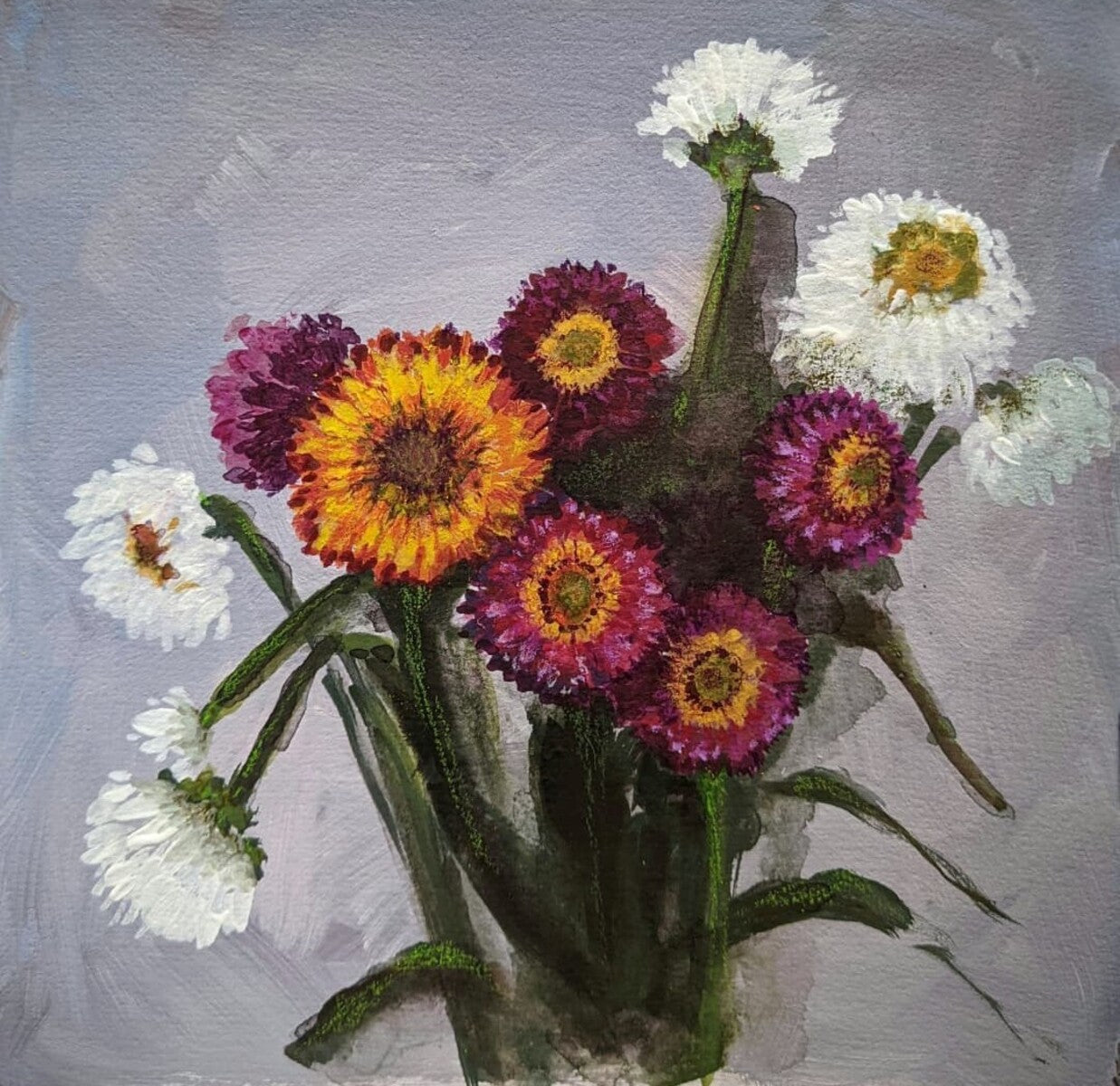 Straw Flowers