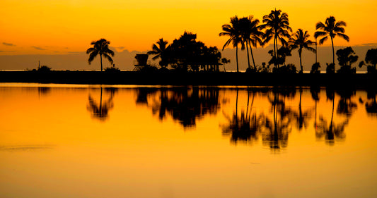Hawaii Salt Pond