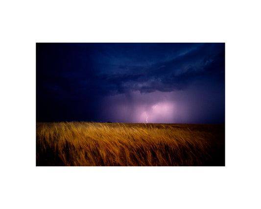 Harvest spared