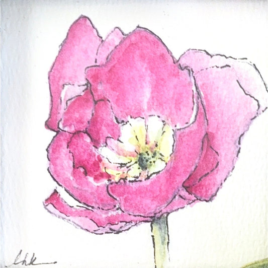 Little Poppy