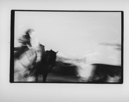 Horses