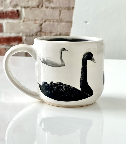 Swans Mug