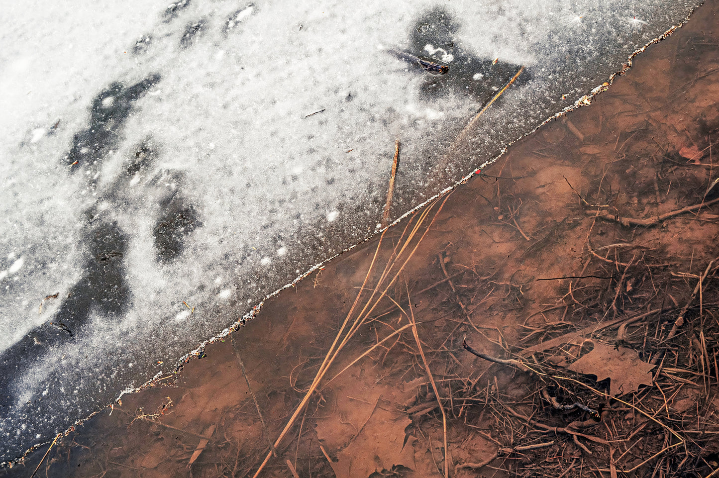 Melting Ice at Lakewood Greenway
