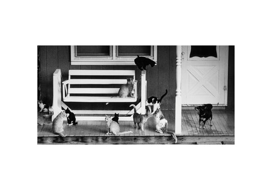 Porch politics