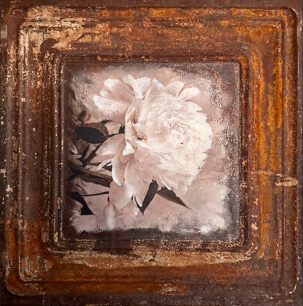Fleeting Beauty
