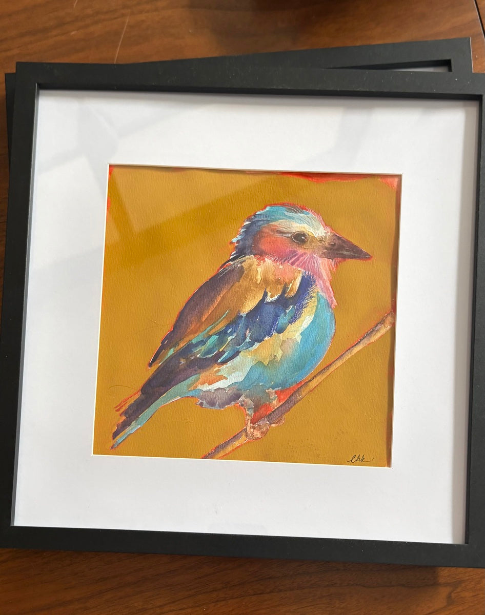 Lilac Breasted Roller