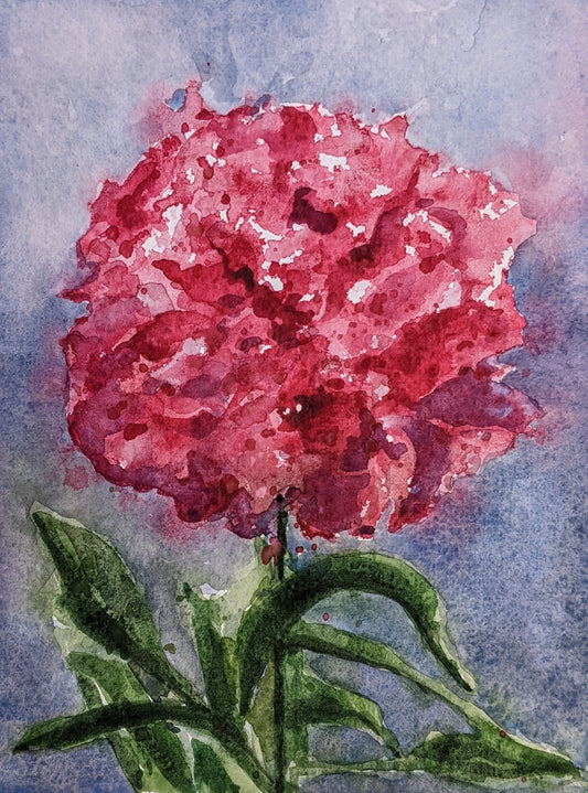 Single Peony