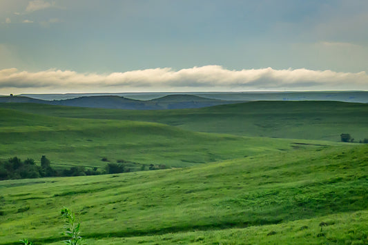 Velvety Cloak of the Flint Hills, Kansas