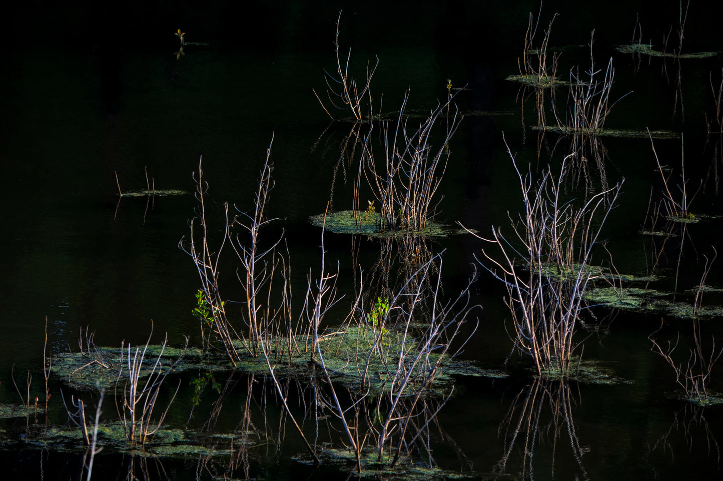 Kendorza Conservation Area