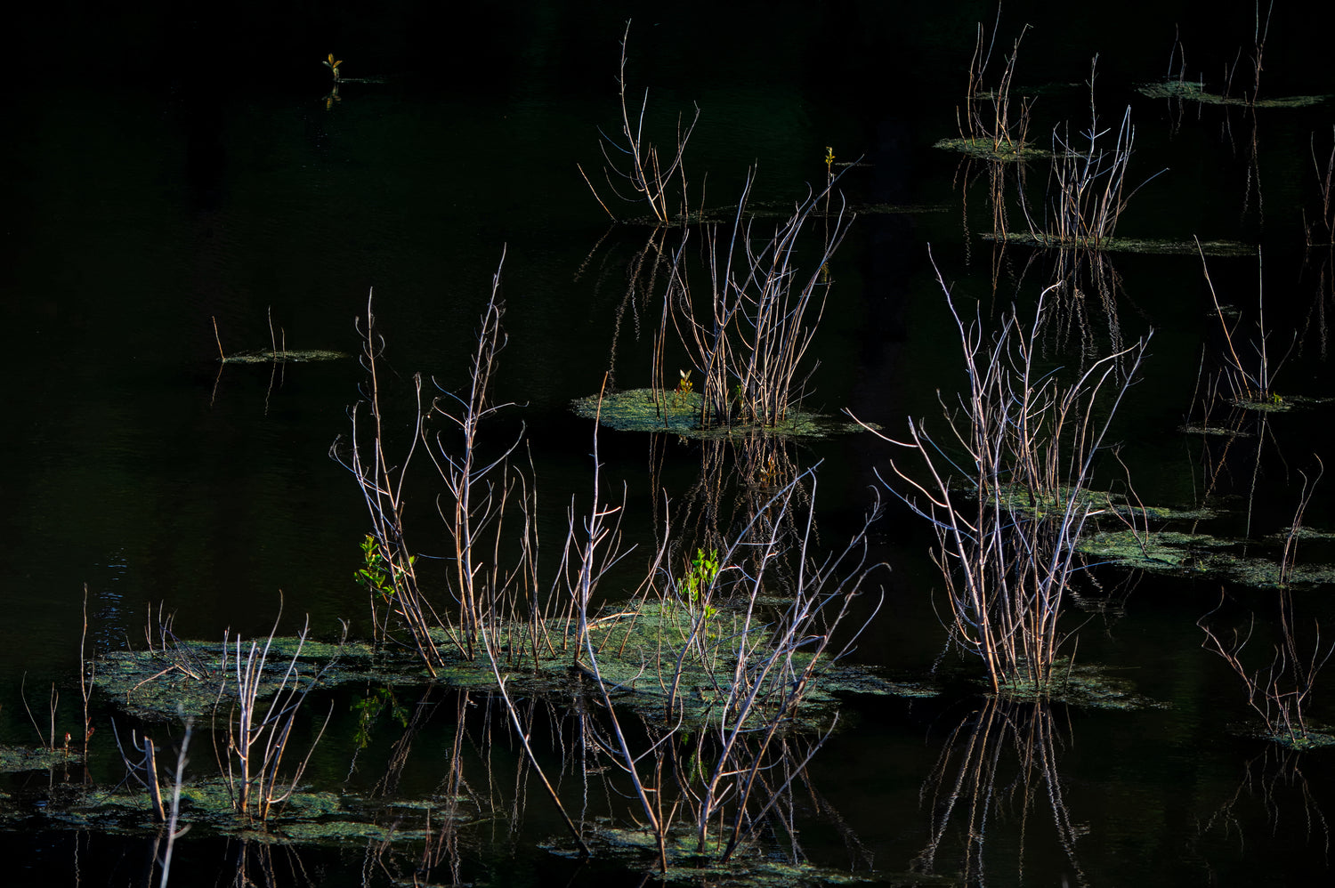 Kendorza Conservation Area