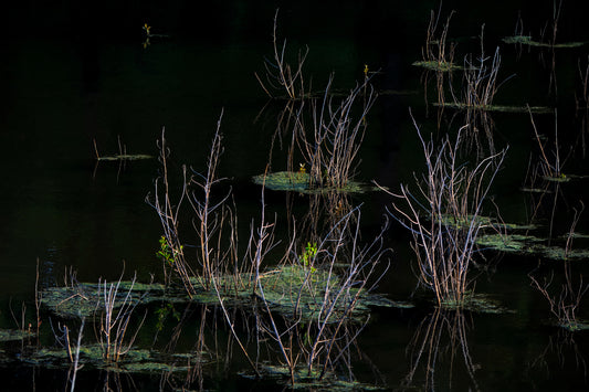 Kendorza Conservation Area