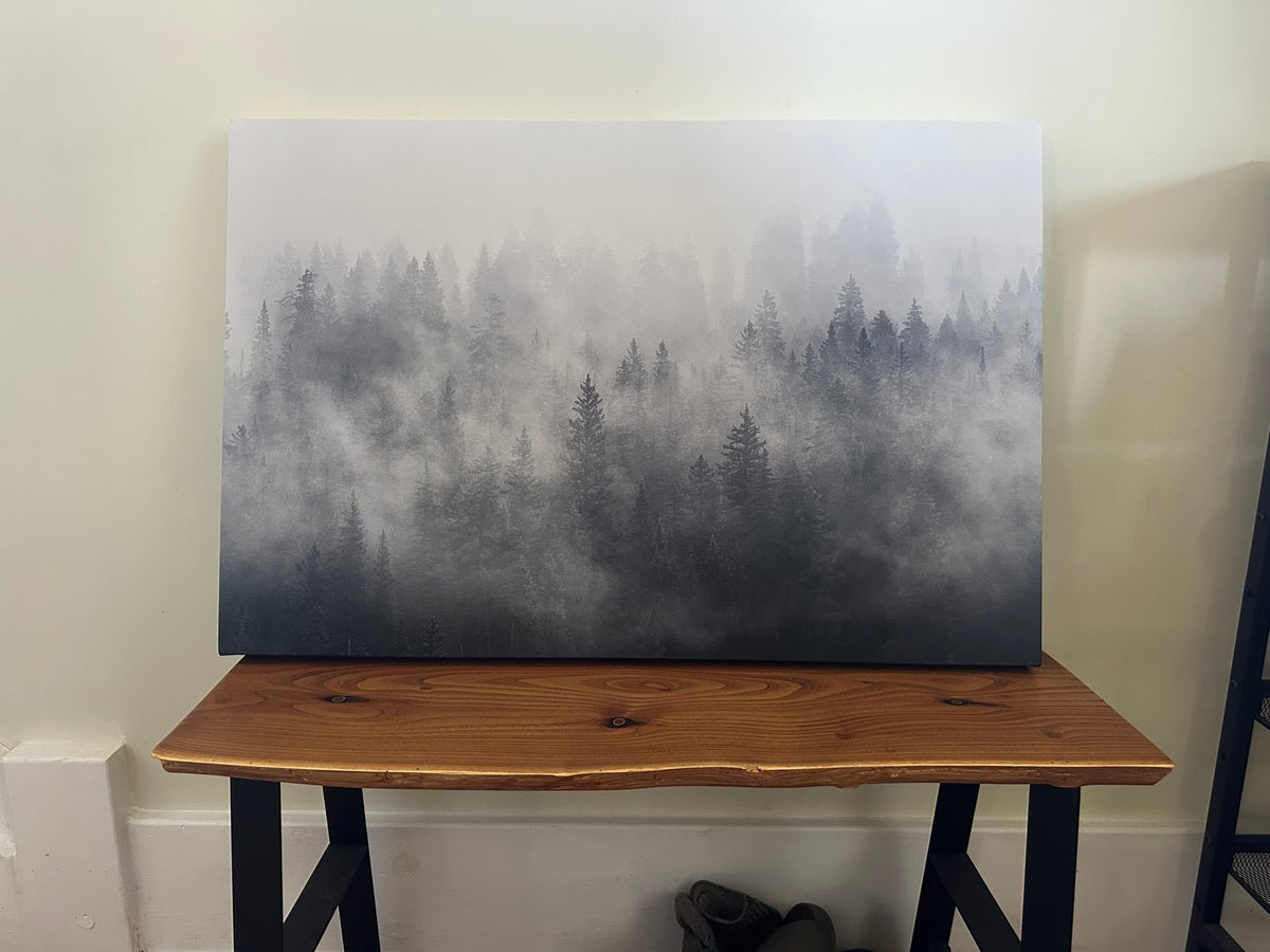 Foggy Forest